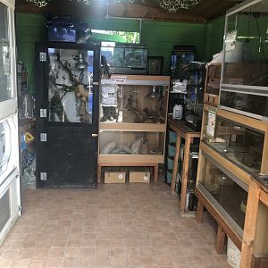 C&J’s animal park - Reptile house