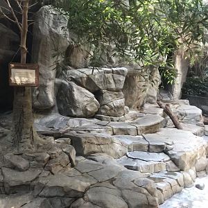 Tropics trail- former visayan warty pig exhibit