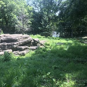 Northern trail- dhole exhibit