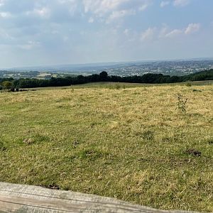 Jersey Cow Enclosure at Charlotte's Ice Cream Parlour (July 2021)