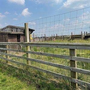 Wallaby Enclosure at Charlotte's Ice Cream Parlour (July 2021)