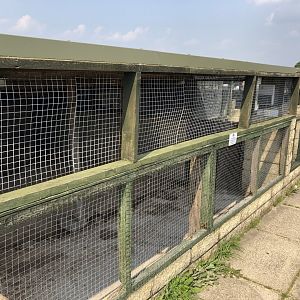 Aviaries at Charlotte's Ice Cream Parlour (July 2021)