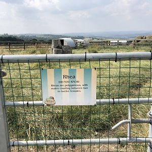 Example Signage at Charlotte's Ice Cream Parlour (July 2021)