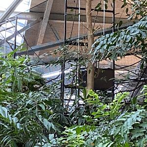 NEW! Holding Aviary with Cockatoo