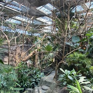 RENOVATED Left Side of Rhinoceros Hornbill Aviary