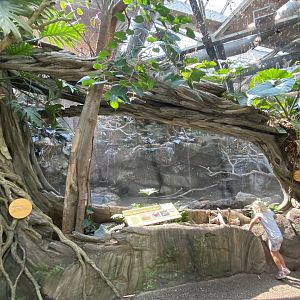 Birds of the Americas Aviary Viewing