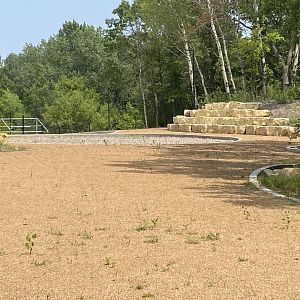 Construction by Secondary Entrance (maybe dinosaurs?)