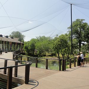 Simmons Aviary