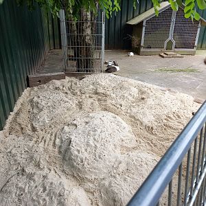 Rabbit - Cavy enclosure