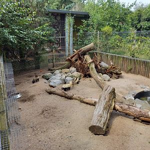 Skunk-enclosure