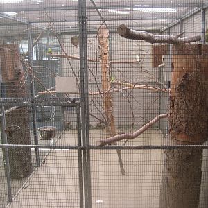 Enghave Dyre- og Naturpark - Mixed parrot aviary #1