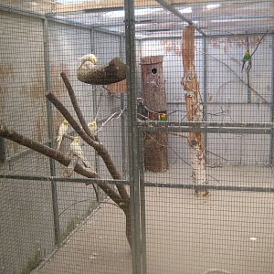 Enghave Dyre- og Naturpark - Mixed parrot aviary #2