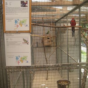 Enghave Dyre- og Naturpark - Mixed parrot aviary #3