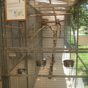 Enghave Dyre- og Naturpark - Mixed parrot aviary #4