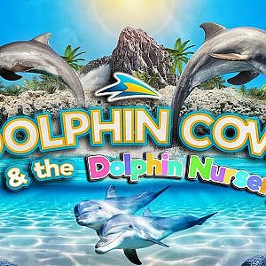 The Dolphin Cove & Dolphin Nursery | Zoo Tours