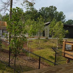 Revolution Ridge - Okapi Exhibit