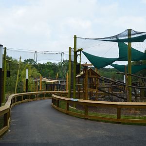 Reolution Ridge - Red Panda and Serval Habitats