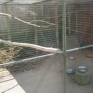 Enghave Dyre- og Naturpark - Pigeon/pheasant aviary