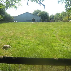 Enghave Dyre- og Naturpark - Pygmy goat exhibit