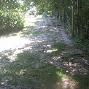 Enghave Dyre- og Naturpark - Cameroon sheep exhibit