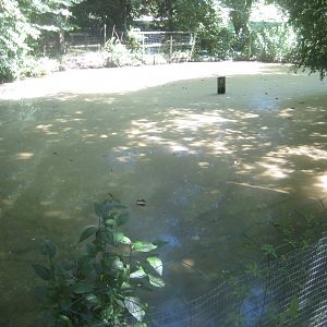 Enghave Dyre- og Naturpark - Fish pond