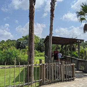 Old Okavango Delta aviary location