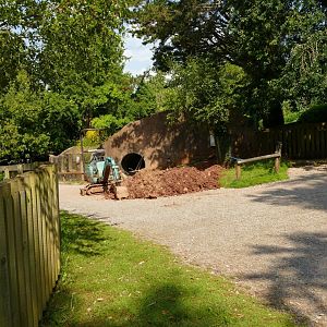 Work at the Ranch, July 2021