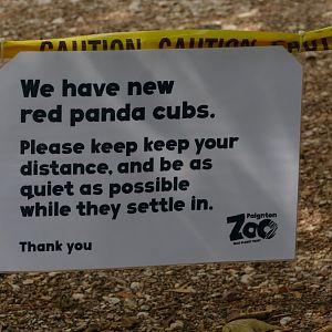 Red panda sign, July 2021