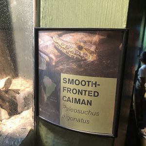 Example of new signage in reptile house