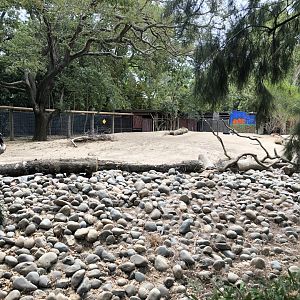 Emu/Red kangaroo exhibit