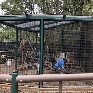 Construction of new aviary