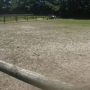 Enghave Dyre- og Naturpark - Horse exhibit #2