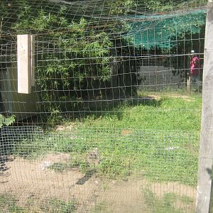 Enghave Dyre- og Naturpark - Fox exhibit