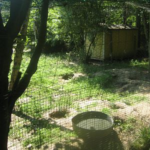 Enghave Dyre- og Naturpark - Fox exhibit