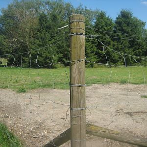 Enghave Dyre- og Naturpark - Emu exhibit