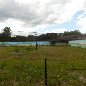 6/22/2021 - White-naped Crane Habitat
