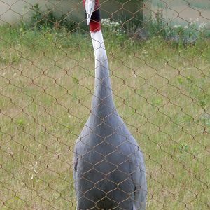 6/22/2021 - Sizing Me Up!