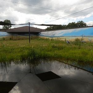 6/22/2021 - Blue Crane Habitat