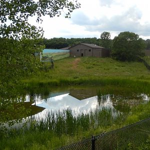 6/22/2021 - Wattled Crane Habitat