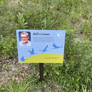 6/22/2021 - Bill’s Cranes