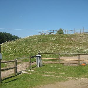 Enghave Dyre- og Naturpark - Donkey exhibit #1
