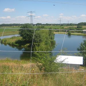 Enghave Dyre- og Naturpark - Fishing lake