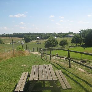 Enghave Dyre- og Naturpark - View from viewpoint
