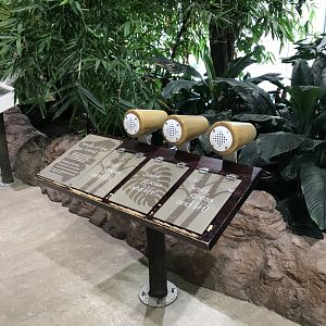 Budongo trail Smelling sign