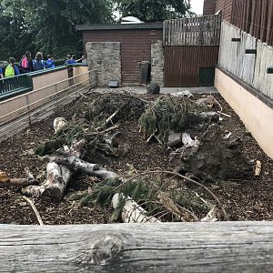 Cape porcupine outdoor enclosure