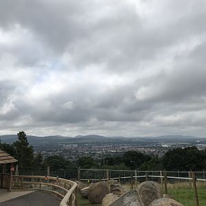 View from the Giraffe enclosure