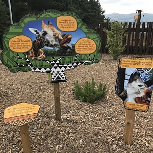 Giraffe tongue signage