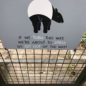 Malayan tapir splatter sign