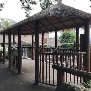 Indian rhino top viewing hut
