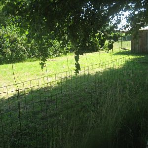 Enghave Dyre- og Naturpark - Peafowl exhibit